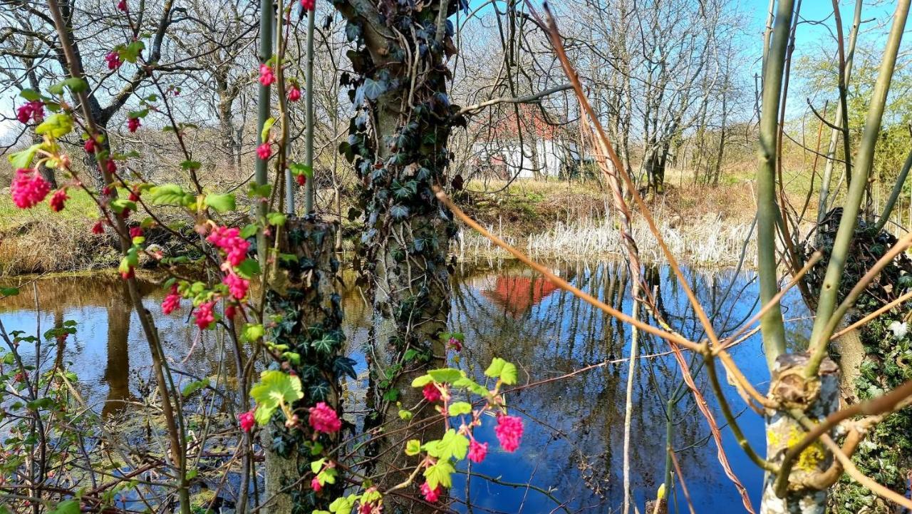 Bornholm Majalis Appartement Rønne Buitenkant foto